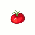 Tomate Marmande